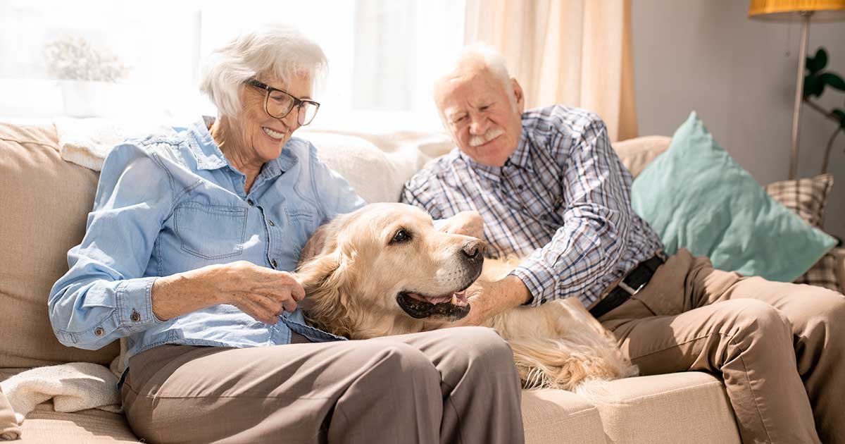 Old man and women in couch cuddling a golden dog